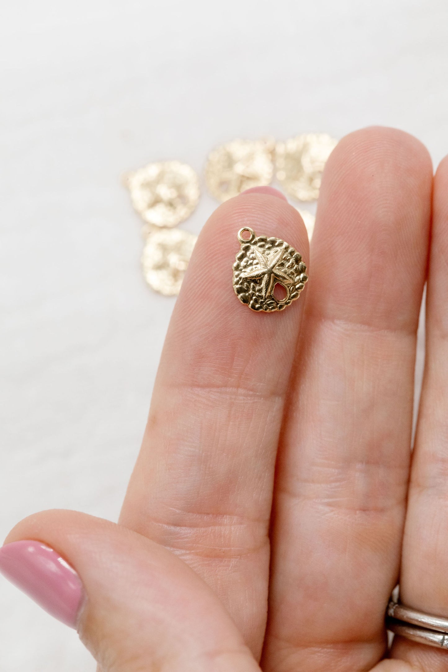 Gold Filled Sand Dollar Charm